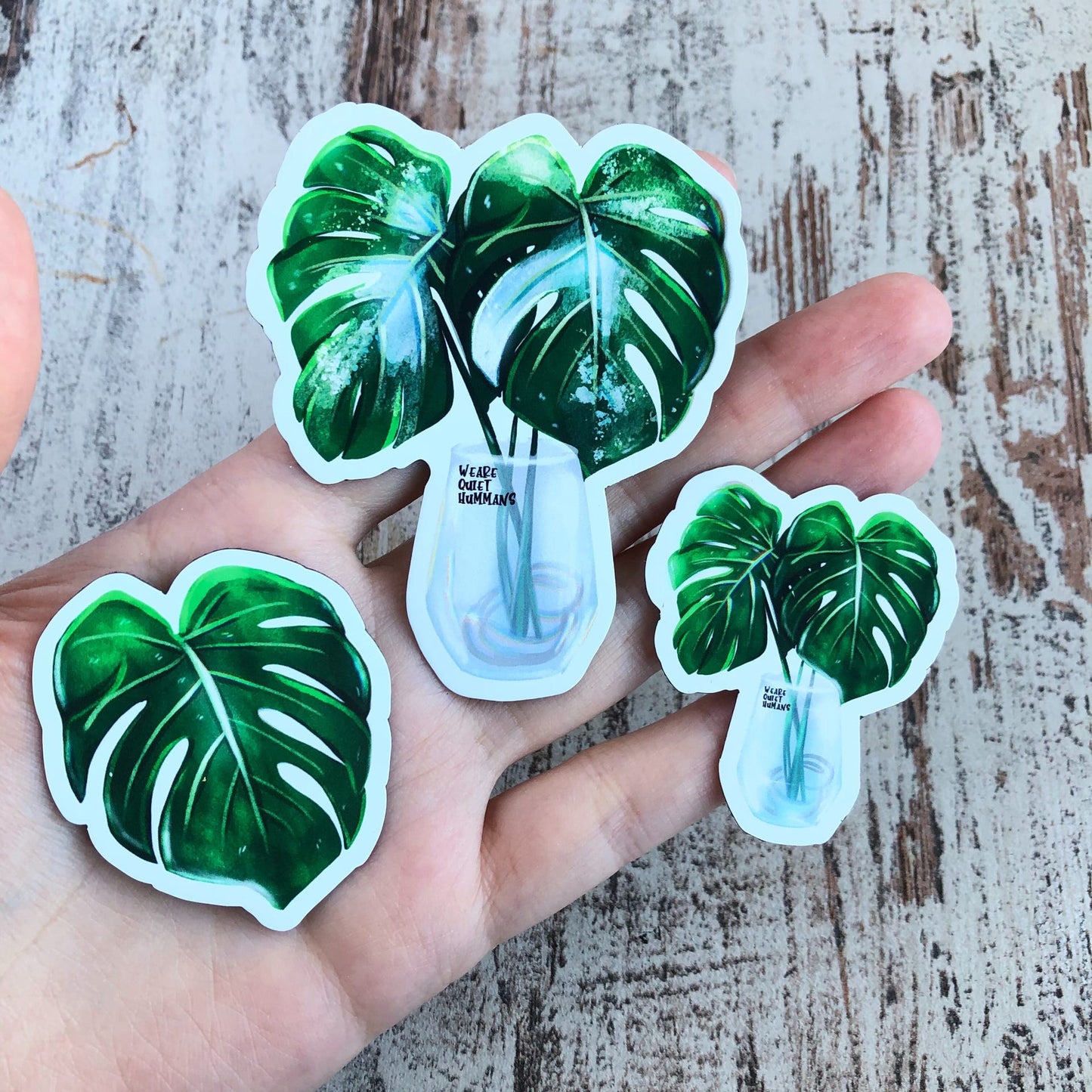Magnet - Monstera variegata 1 Blatt - wearequiethumans