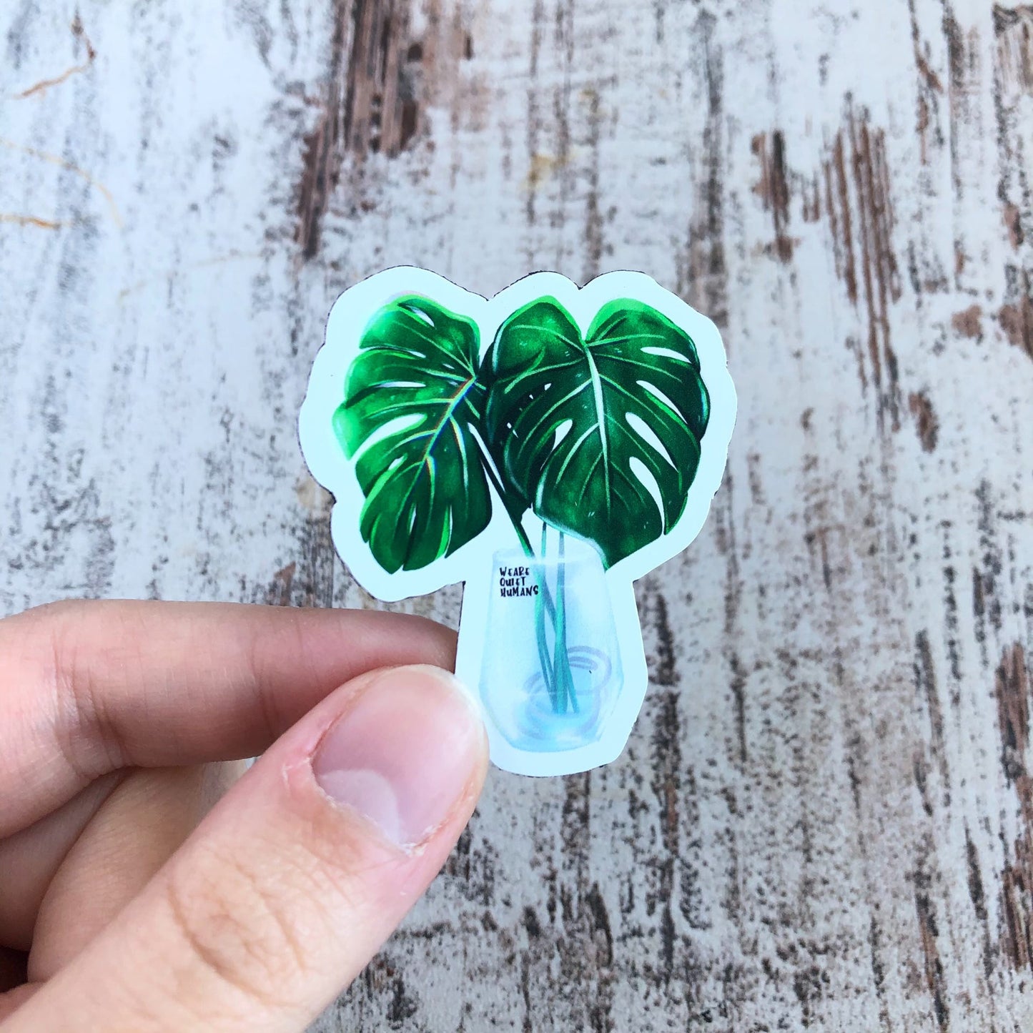 Magnet - Monstera deliciosa im Glas - wearequiethumans