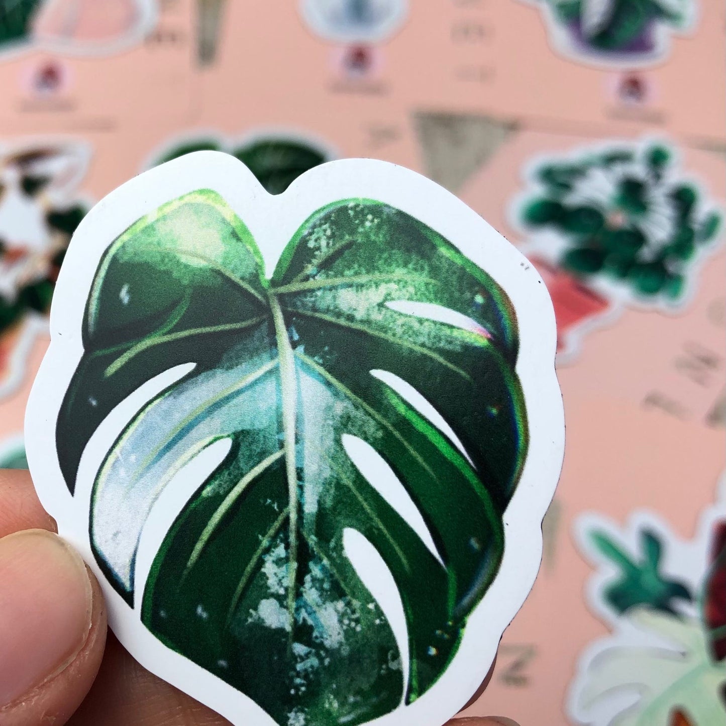 Magnet - Monstera variegata 1 Blatt - wearequiethumans