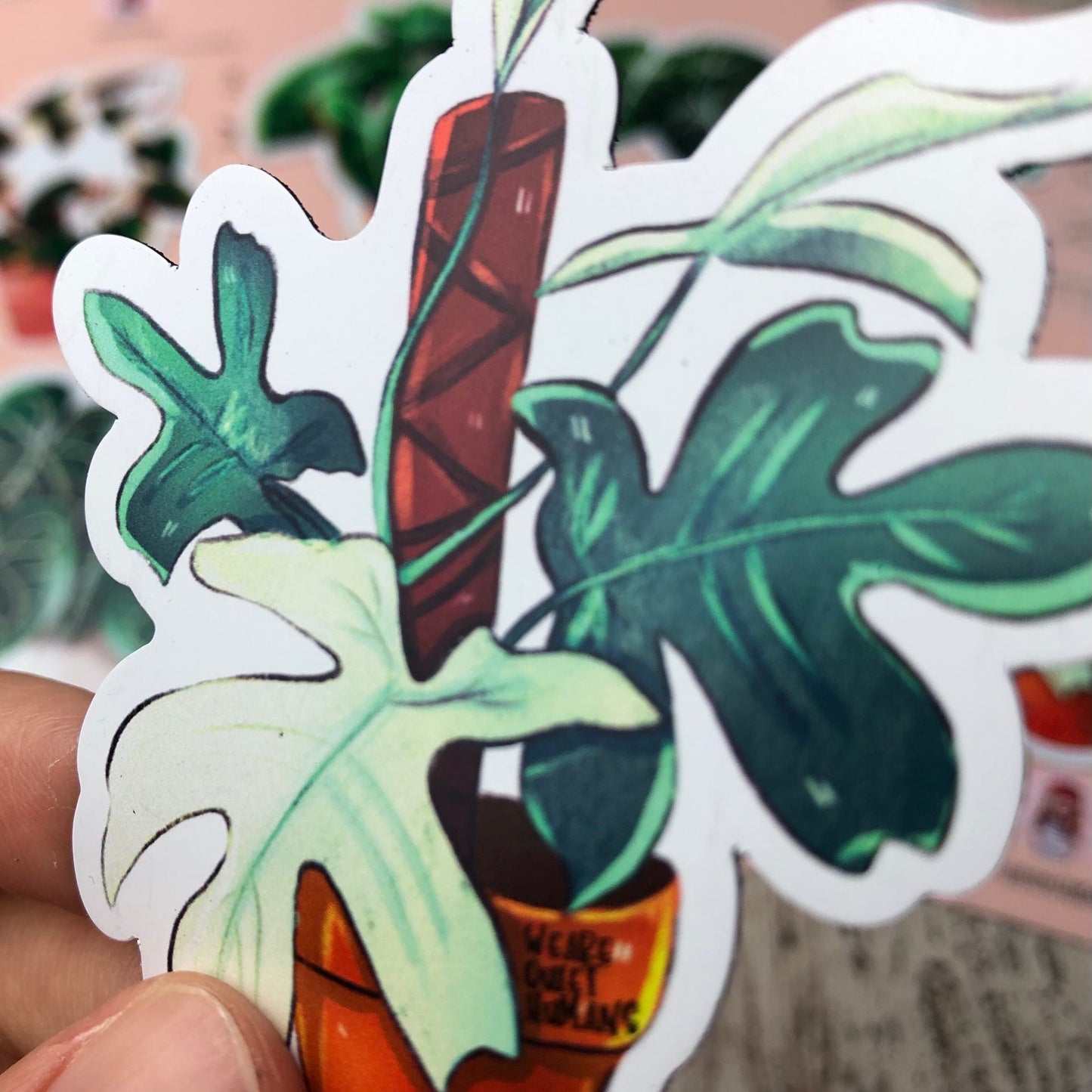 Magnet - Philodendron Florida Ghost - wearequiethumans
