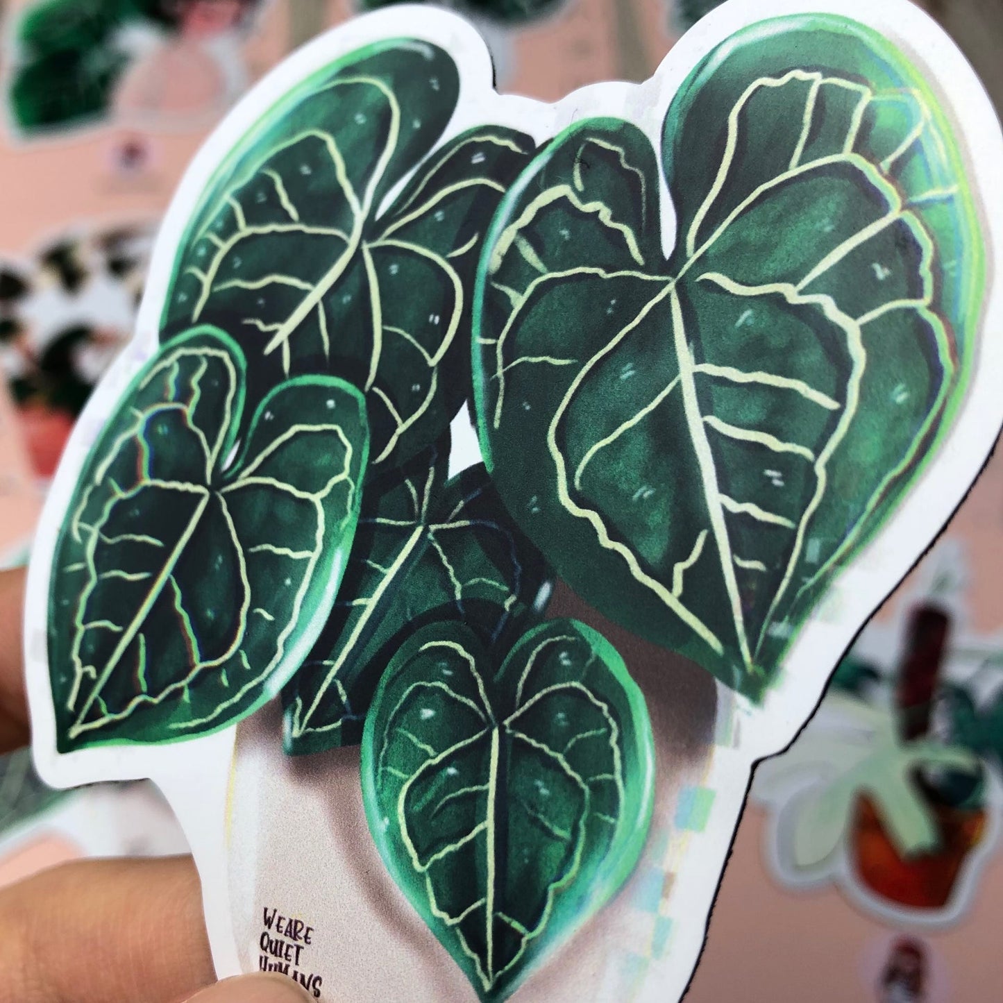 Magnet - Anthurium Clarinervium 5 Blätter - wearequiethumans