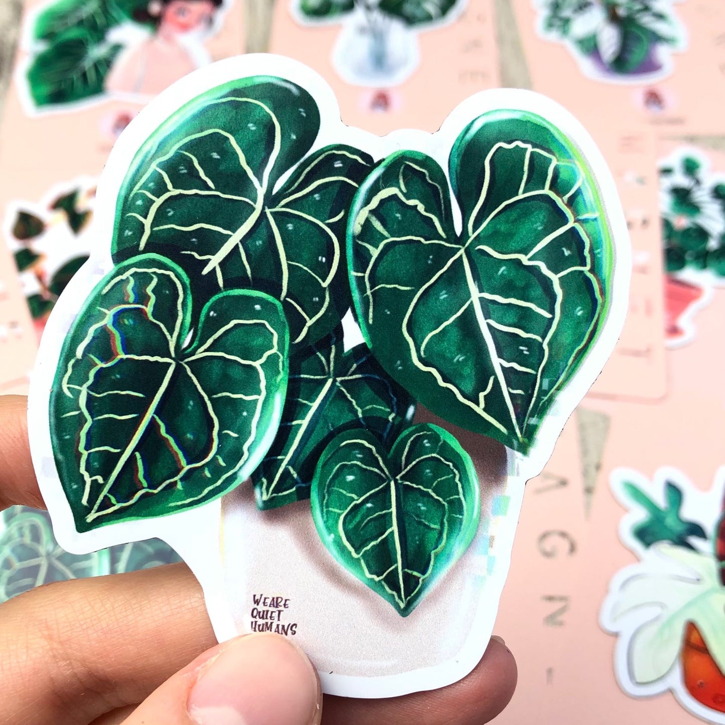 Magnet - Anthurium Clarinervium 5 Blätter - wearequiethumans