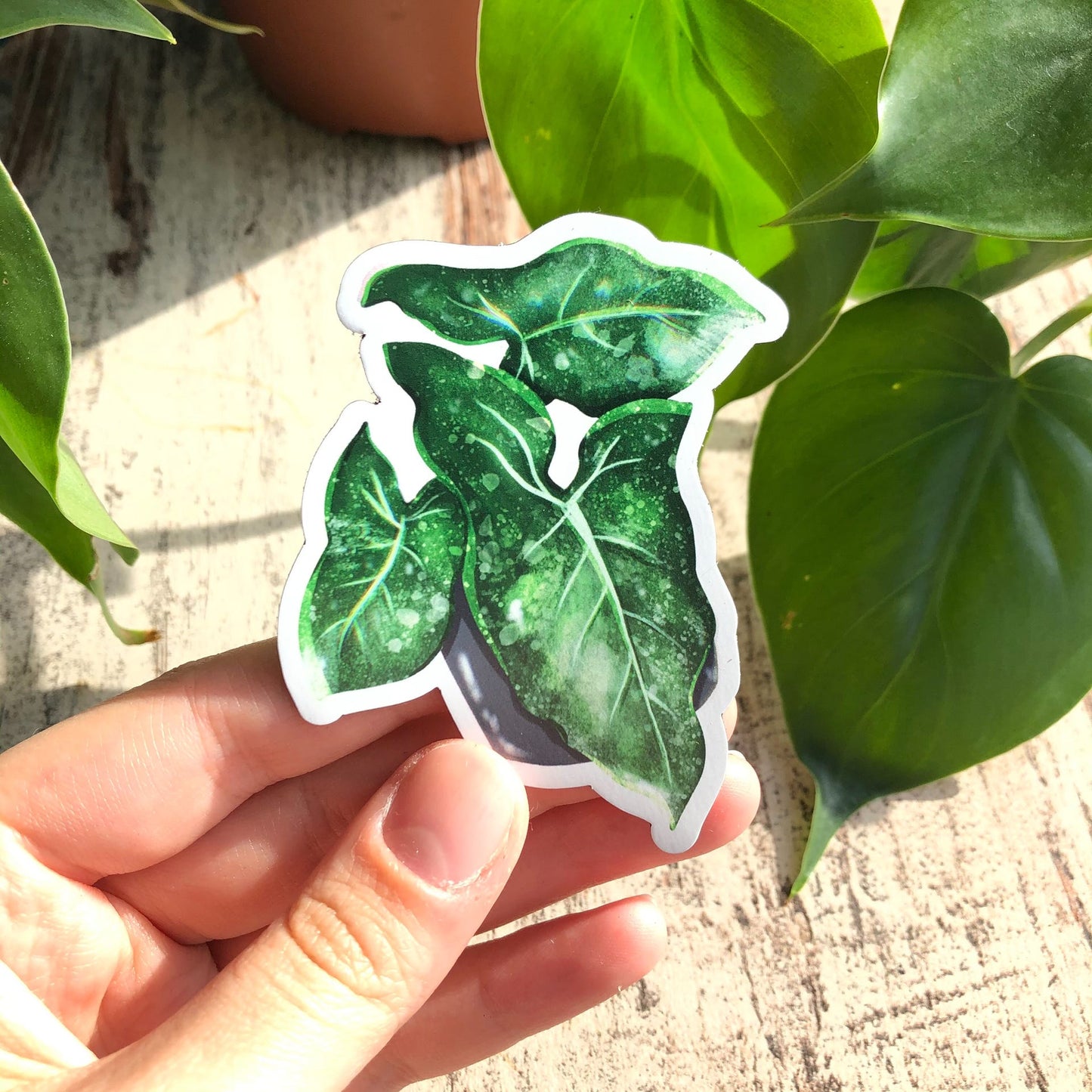 Magnet - Syngonium mottled - wearequiethumans
