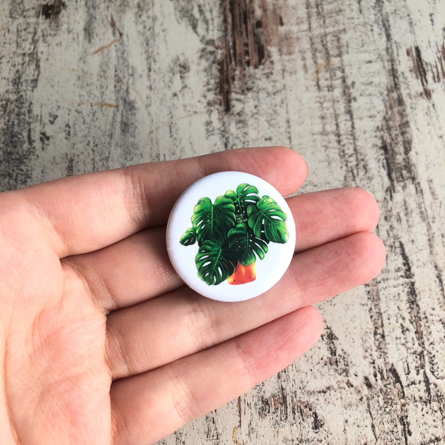 Button Monstera deliciosa - wearequiethumans