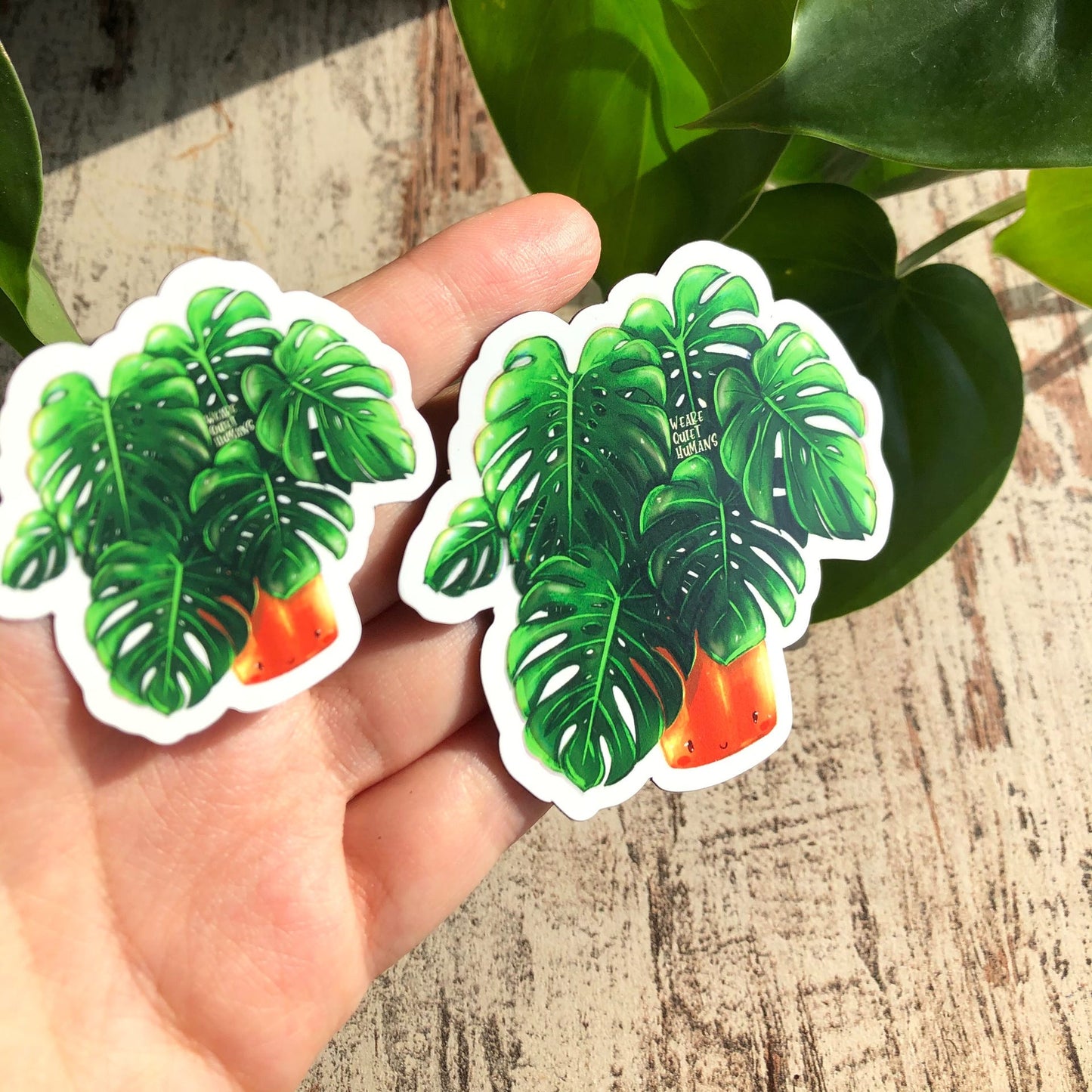 Magnet - Monstera deliciosa mit Gesicht - wearequiethumans