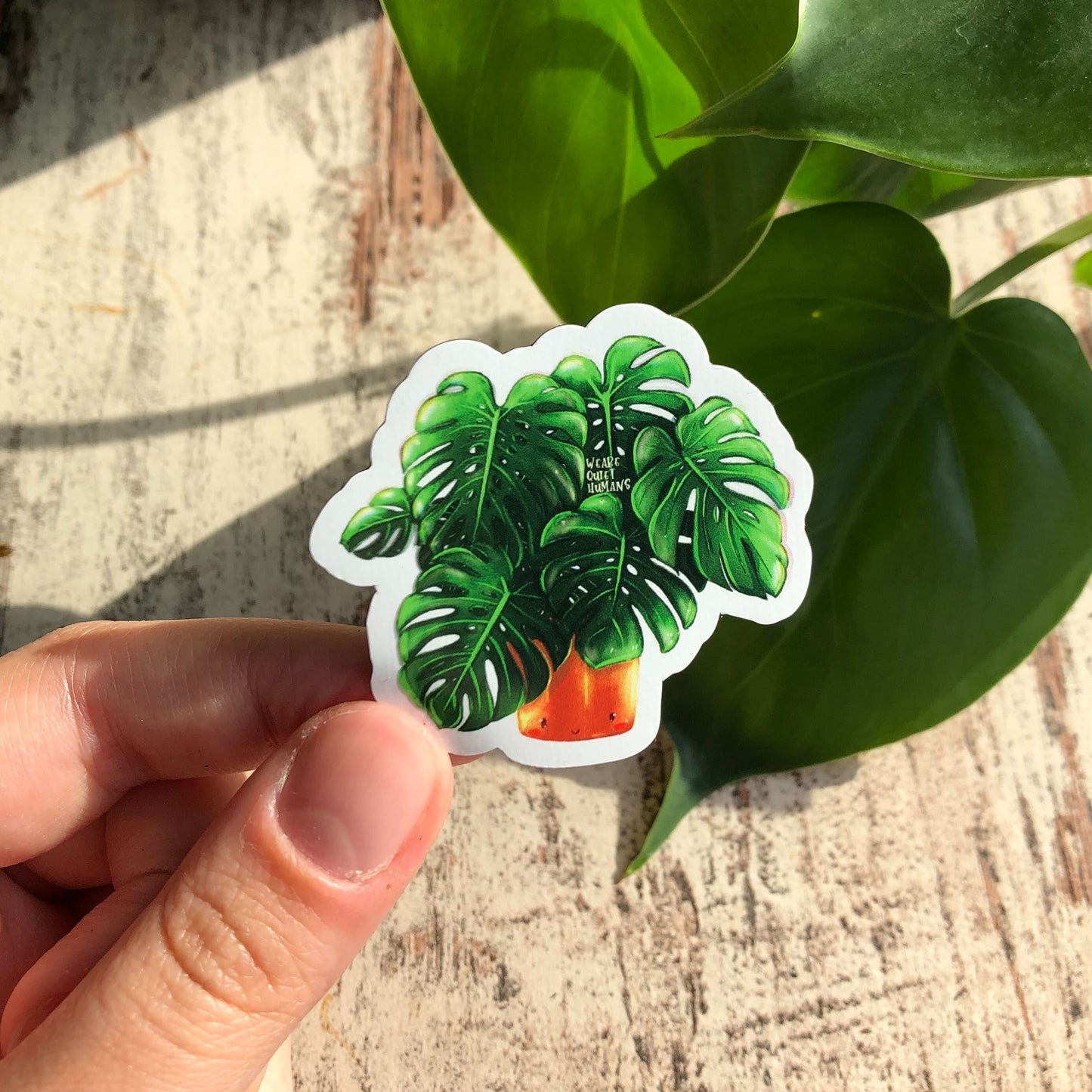 Magnet - Monstera deliciosa mit Gesicht - wearequiethumans