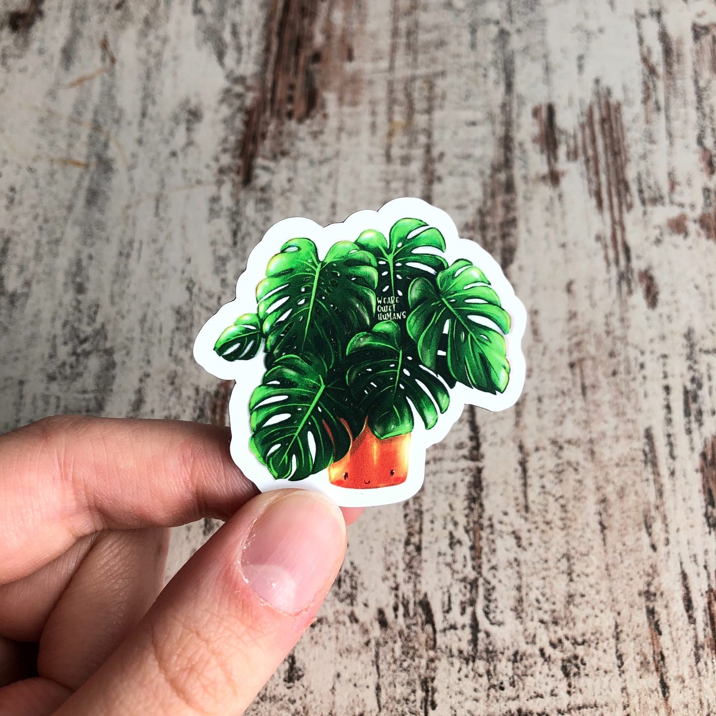 Magnet - Monstera deliciosa mit Gesicht - wearequiethumans