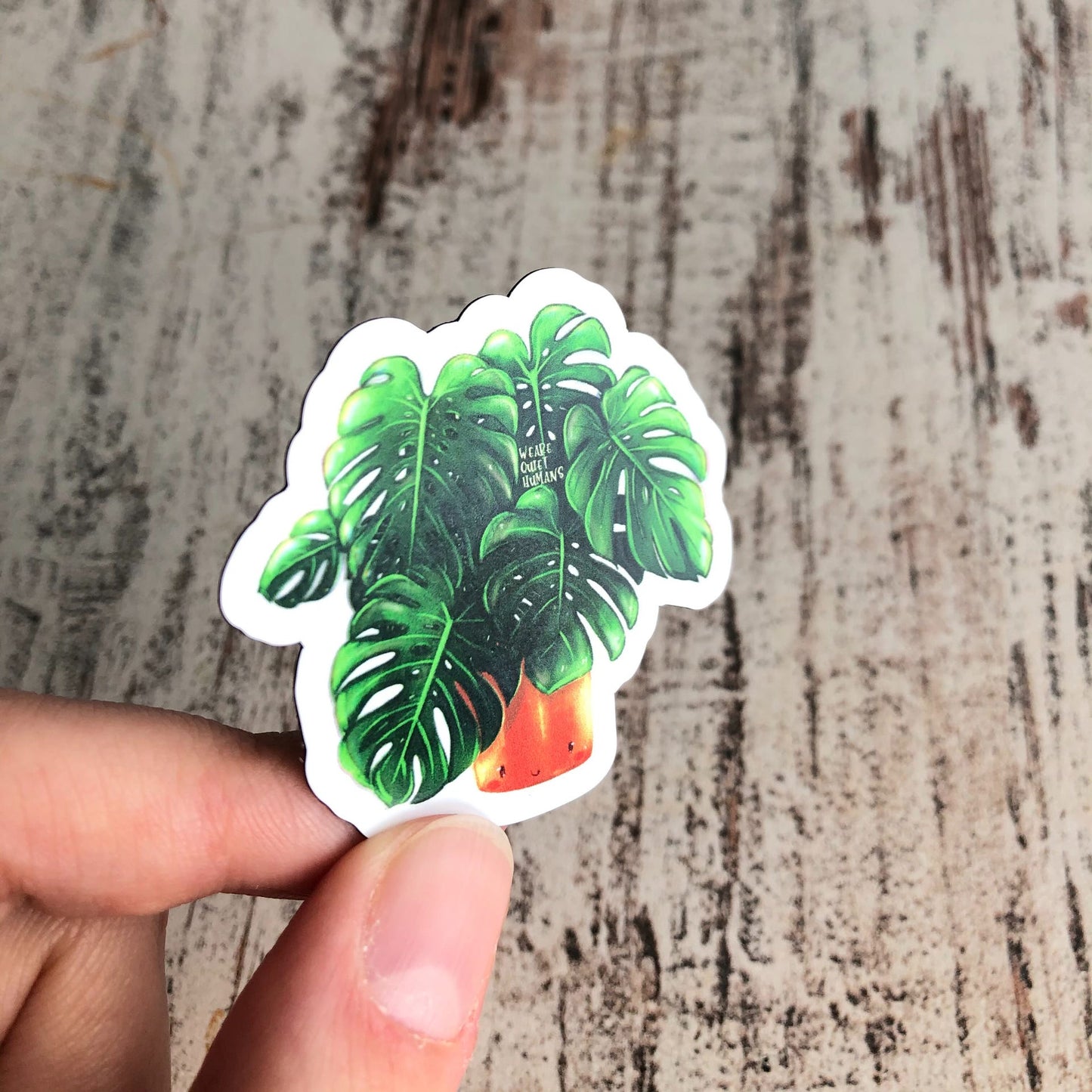 Magnet - Monstera deliciosa mit Gesicht - wearequiethumans