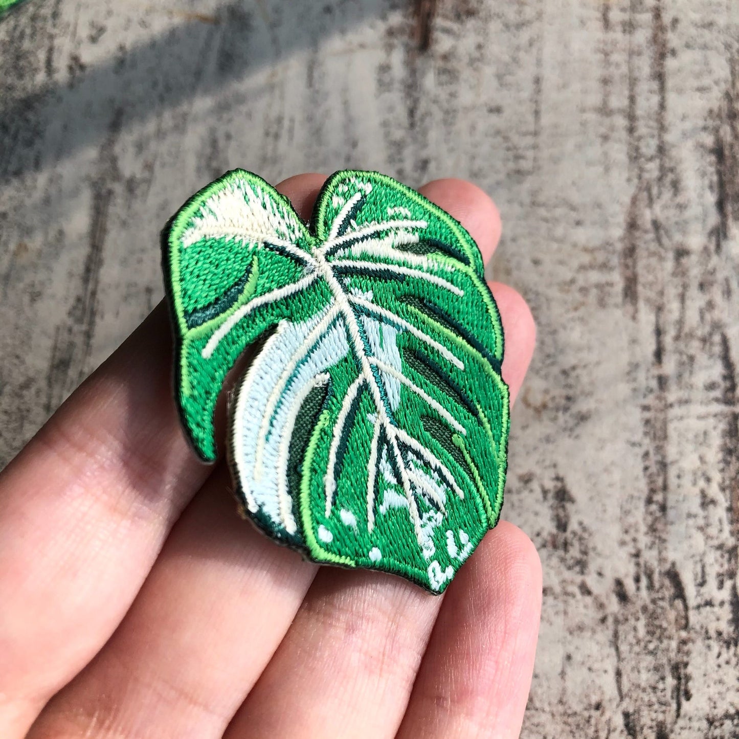 Monstera variegata Patch - zum Aufnähen oder Aufbügeln - wearequiethumans