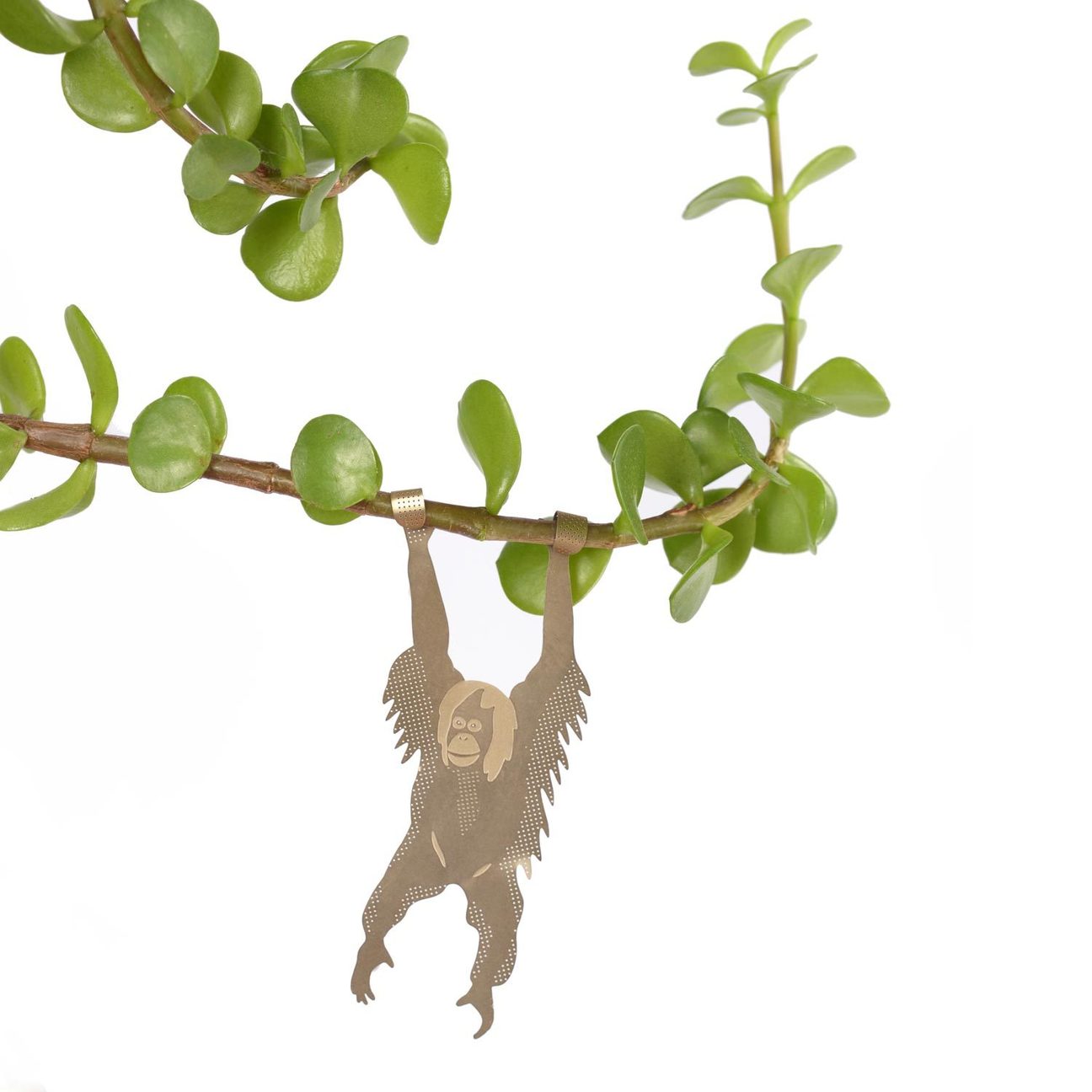 PLANT ANIMAL – Orang-Utan | Another Studio - wearequiethumans