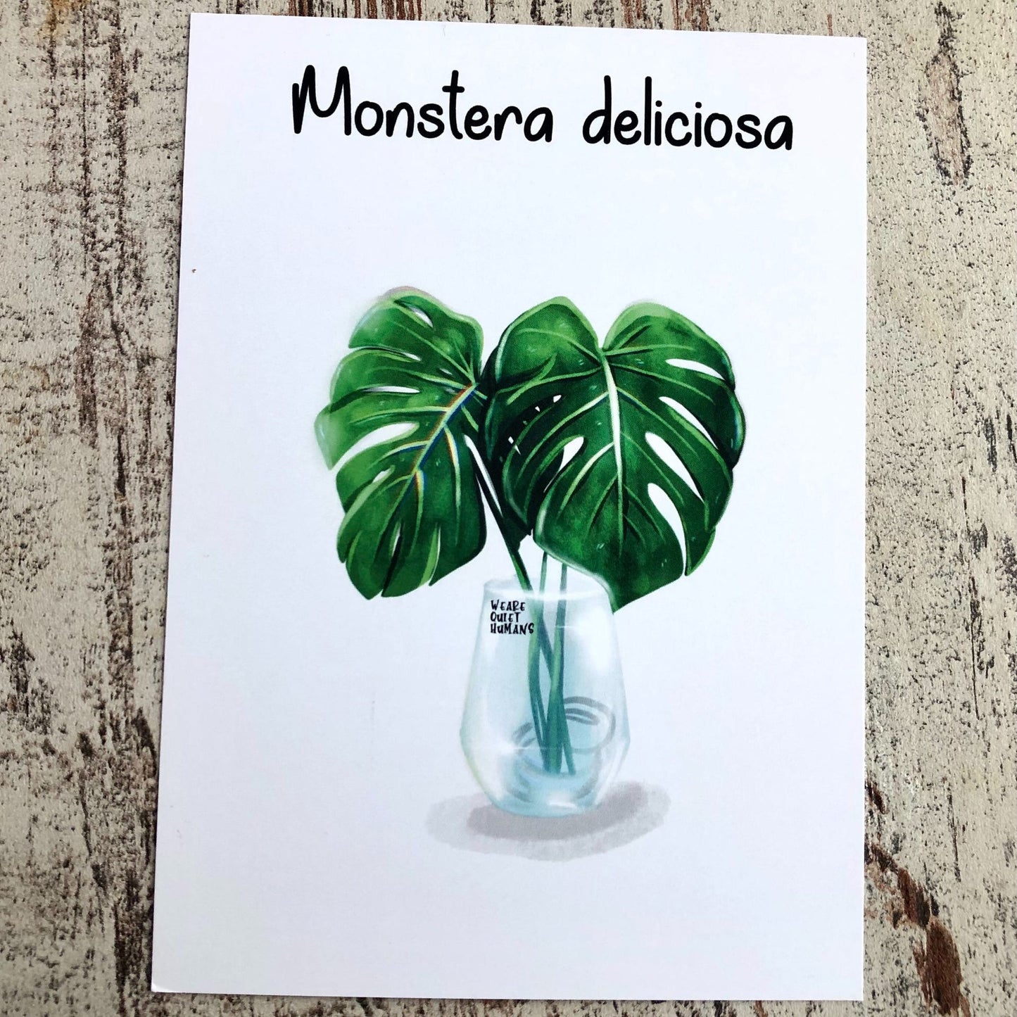 Postkarte / A6 Print - Monstera Deliciosa im Glas - wearequiethumans