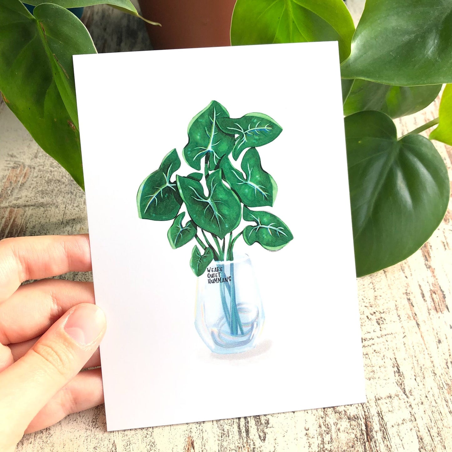 Postkarte / A6 Print - Syngonium im Glas - wearequiethumans