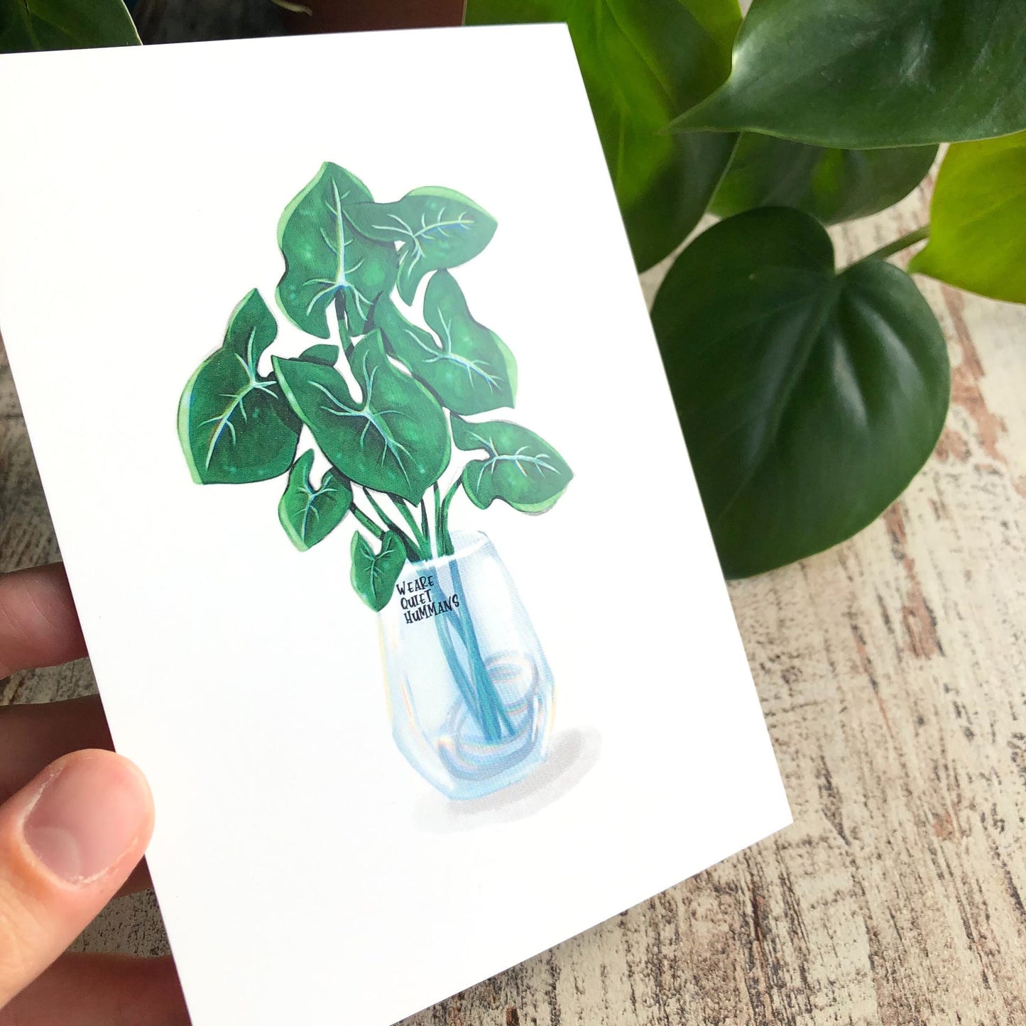 Postkarte / A6 Print - Syngonium im Glas - wearequiethumans