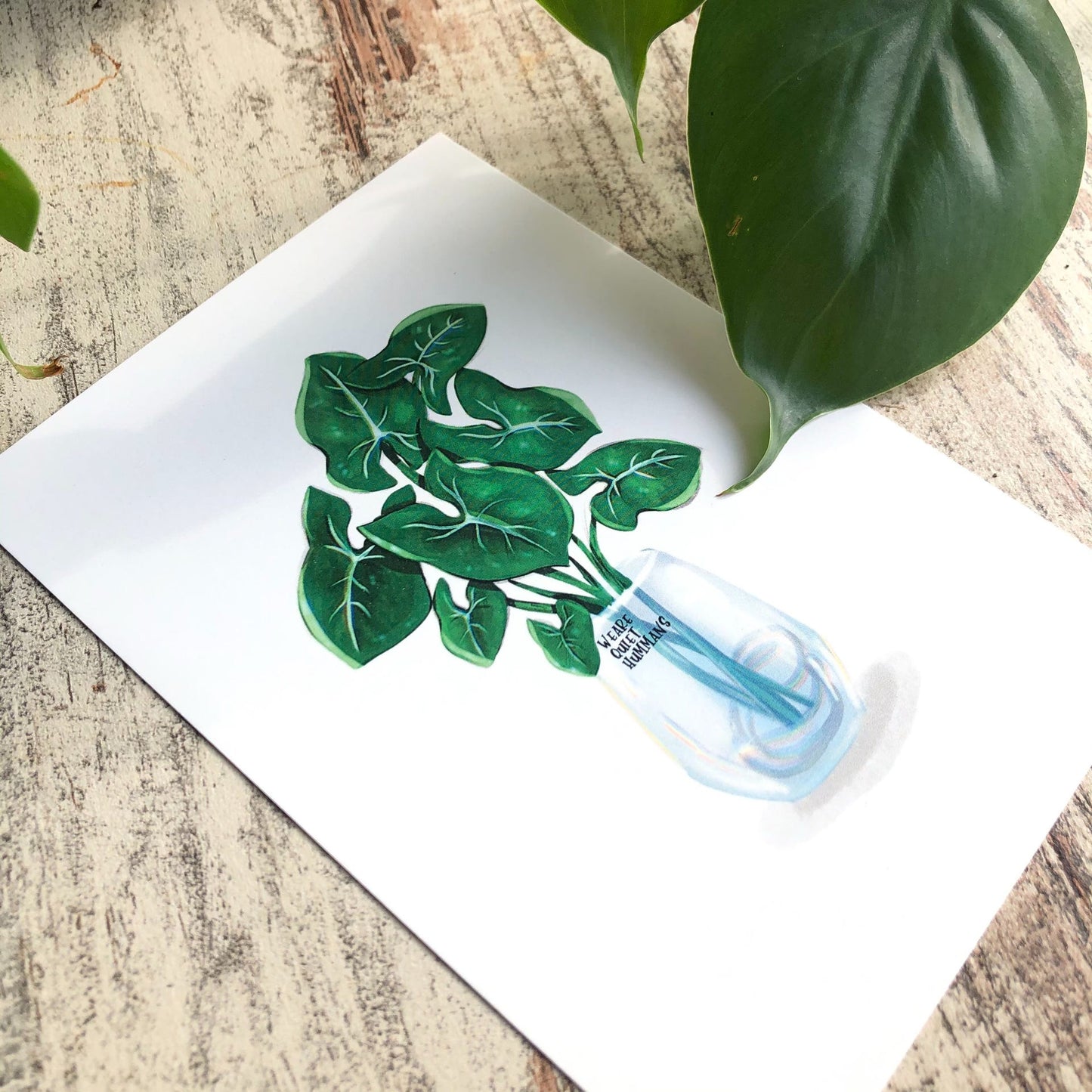 Postkarte / A6 Print - Syngonium im Glas - wearequiethumans