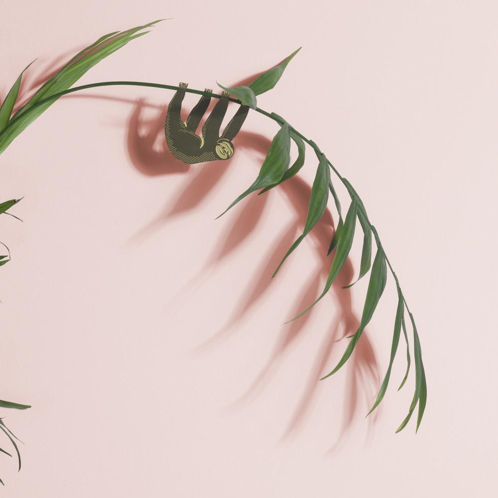 PLANT ANIMAL – Faultier | Another Studio - wearequiethumans