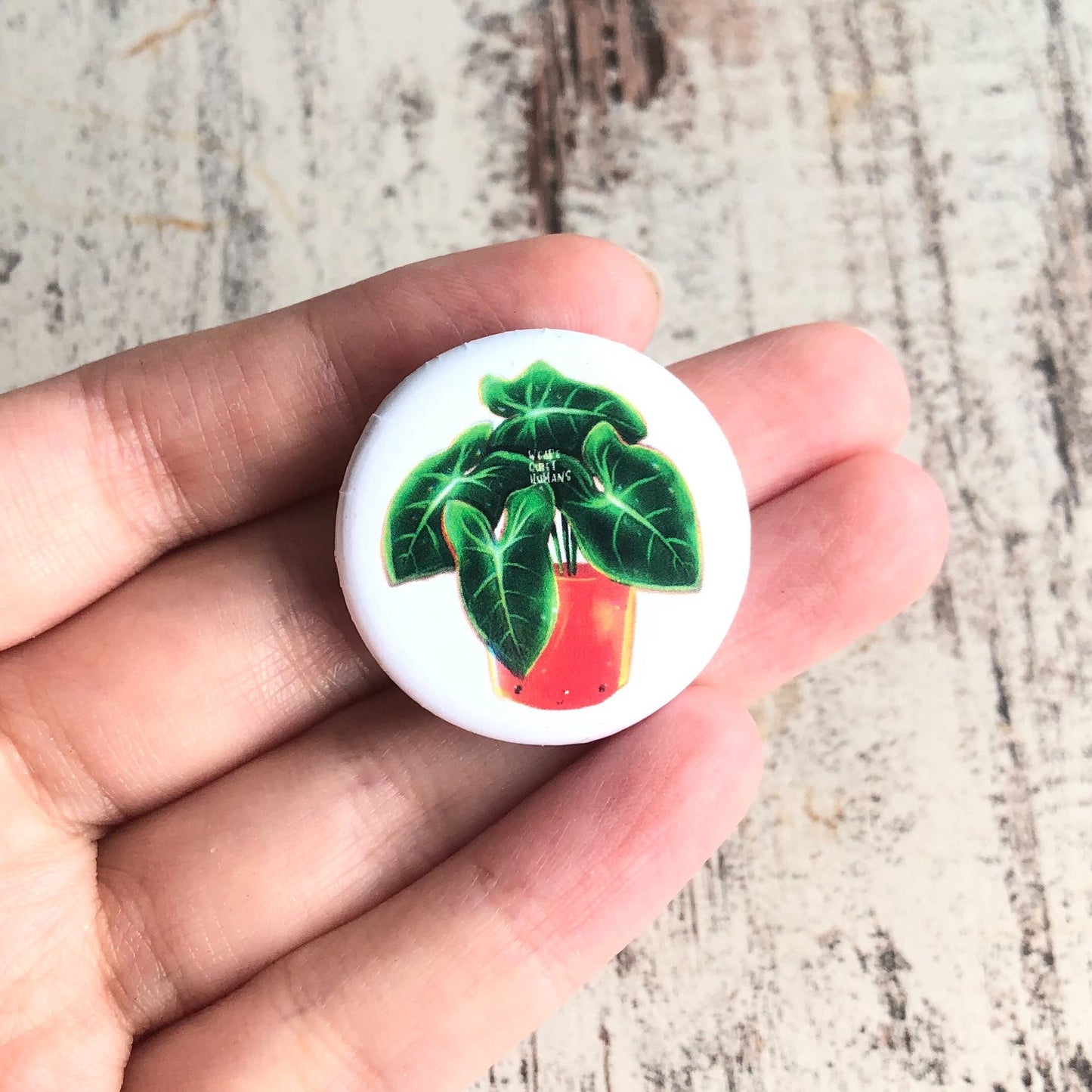 Button Syngonium Green Arrow - wearequiethumans