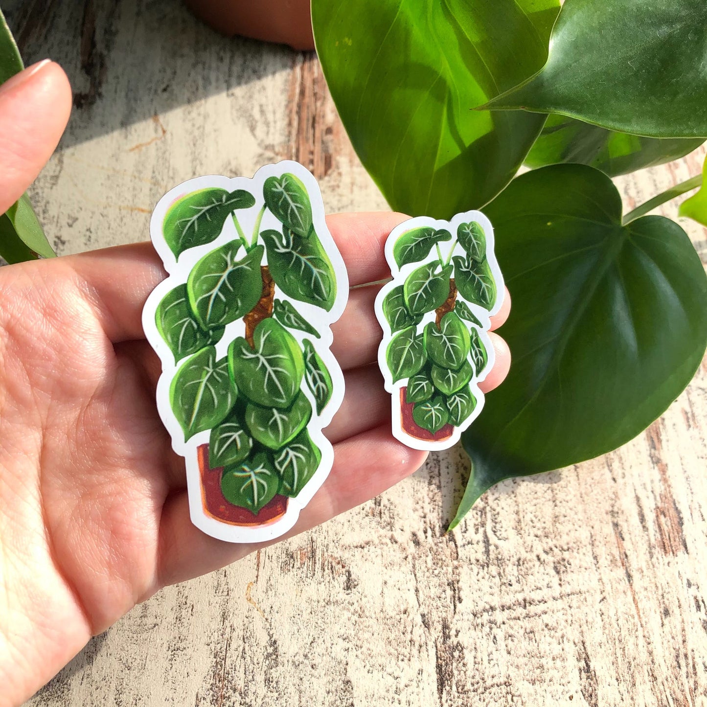 Magnet - Syngonium frosted heart - wearequiethumans