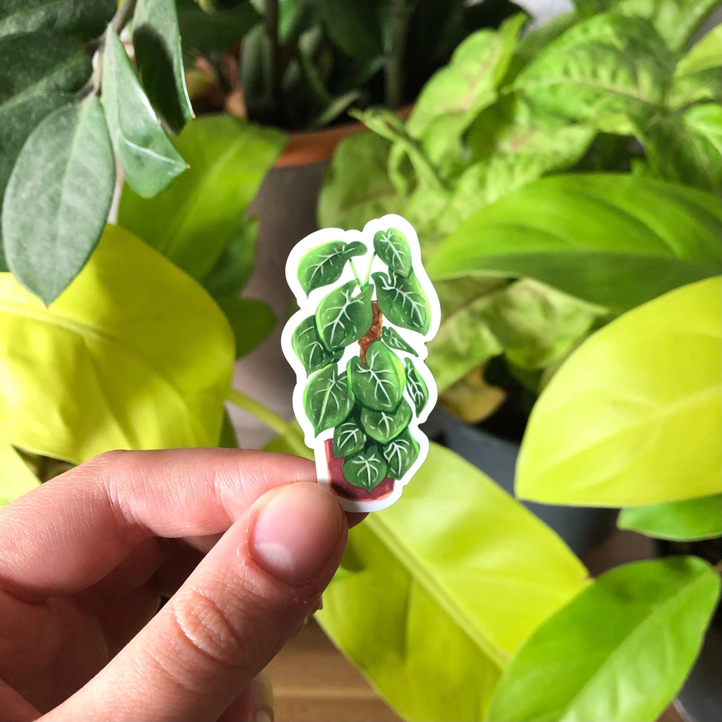 Magnet - Syngonium frosted heart - wearequiethumans