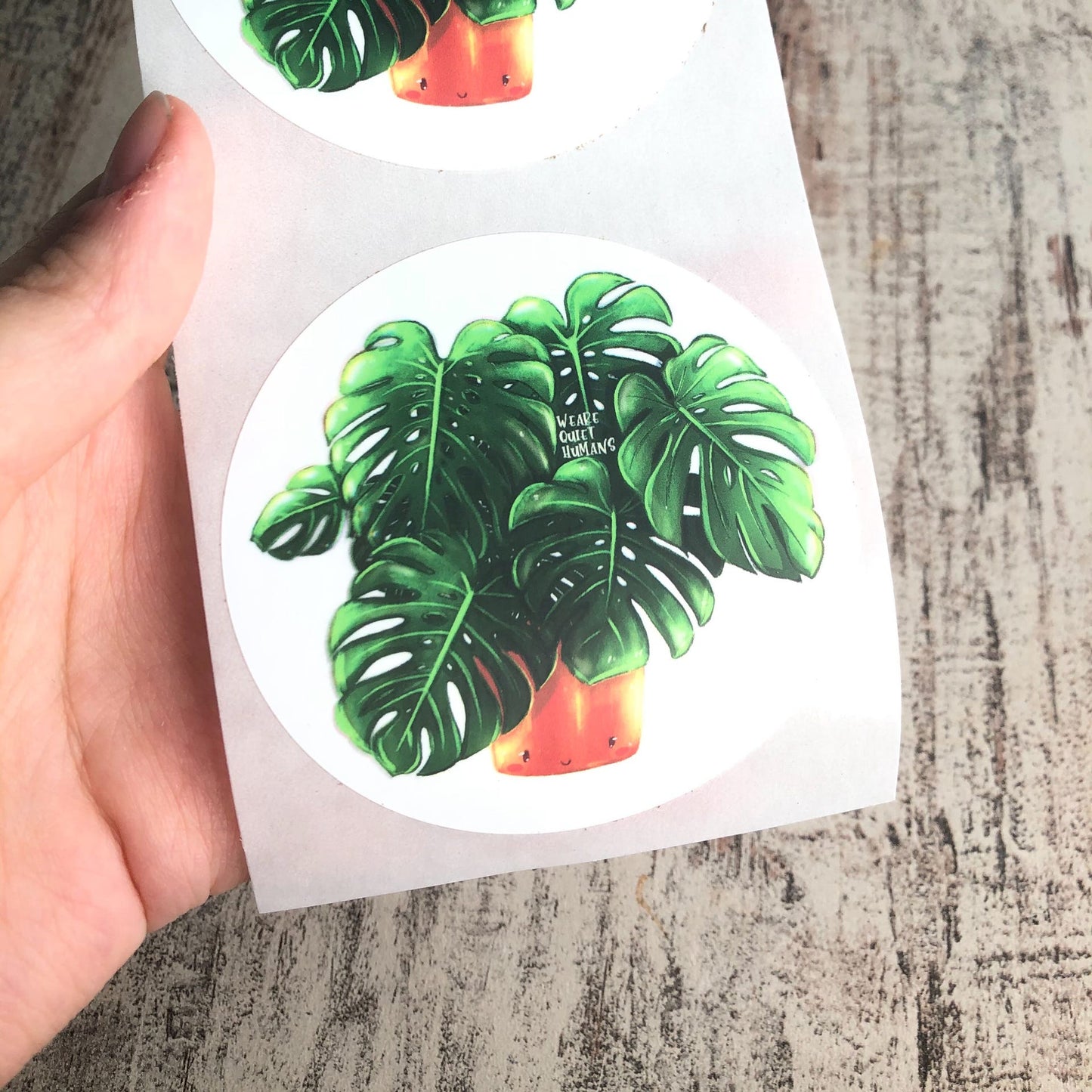 Versandlabel Monstera deliciosa - wearequiethumans