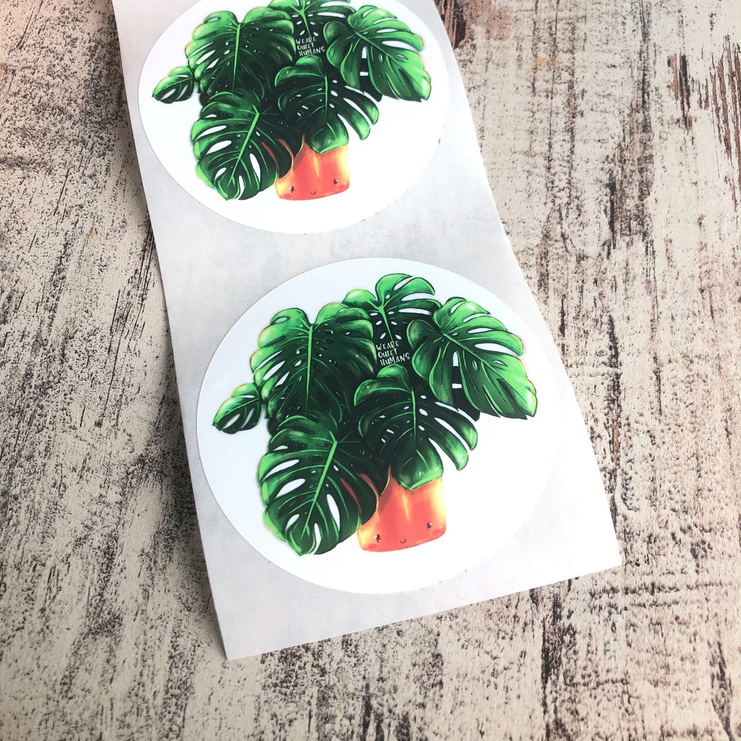Versandlabel Monstera deliciosa - wearequiethumans