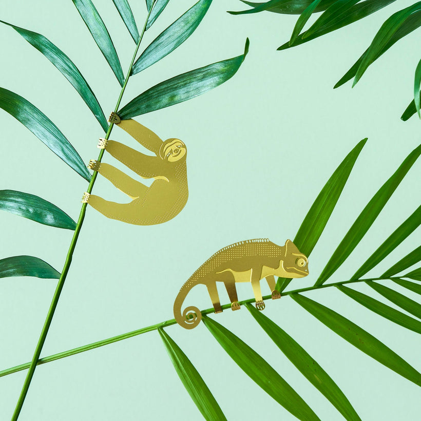 Plant animal