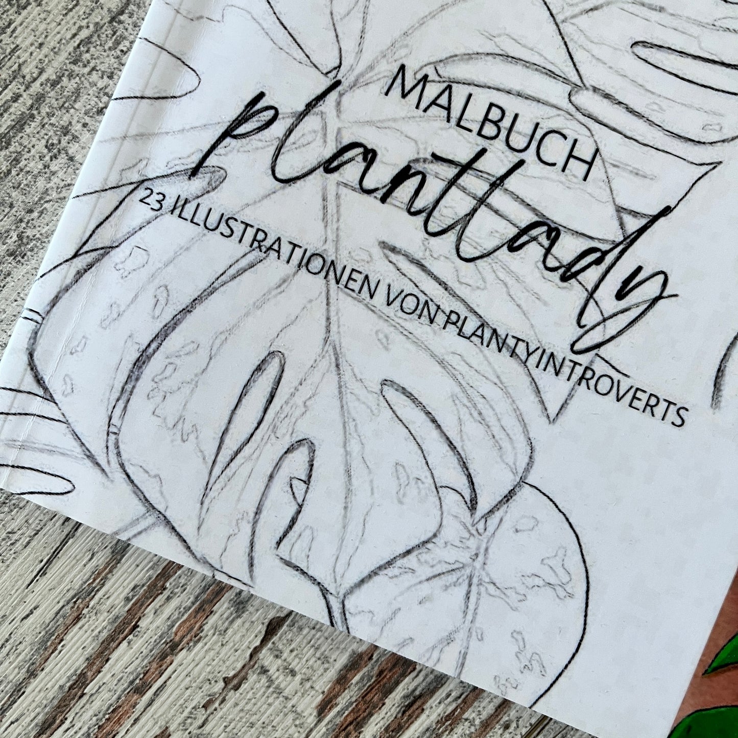 B-Ware: Malbuch Plantlady - Ausmalbuch für Erwachsene mit Plantladys und Zimmerpflanzen