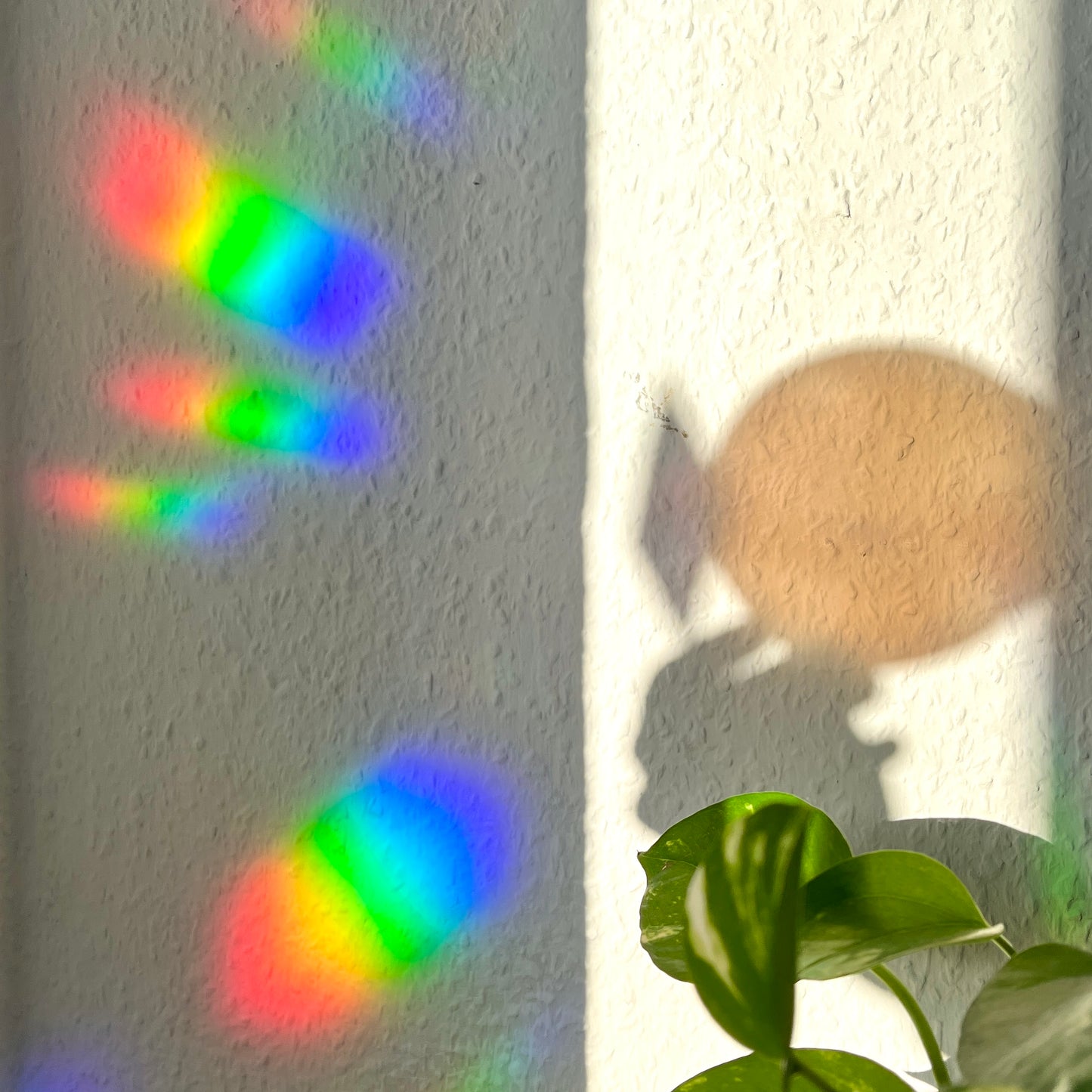 Sun Catcher Sticker - Sternzeichen Geburtshoroskop | Astrologie Aufkleber mit Regenbogen-Effekt