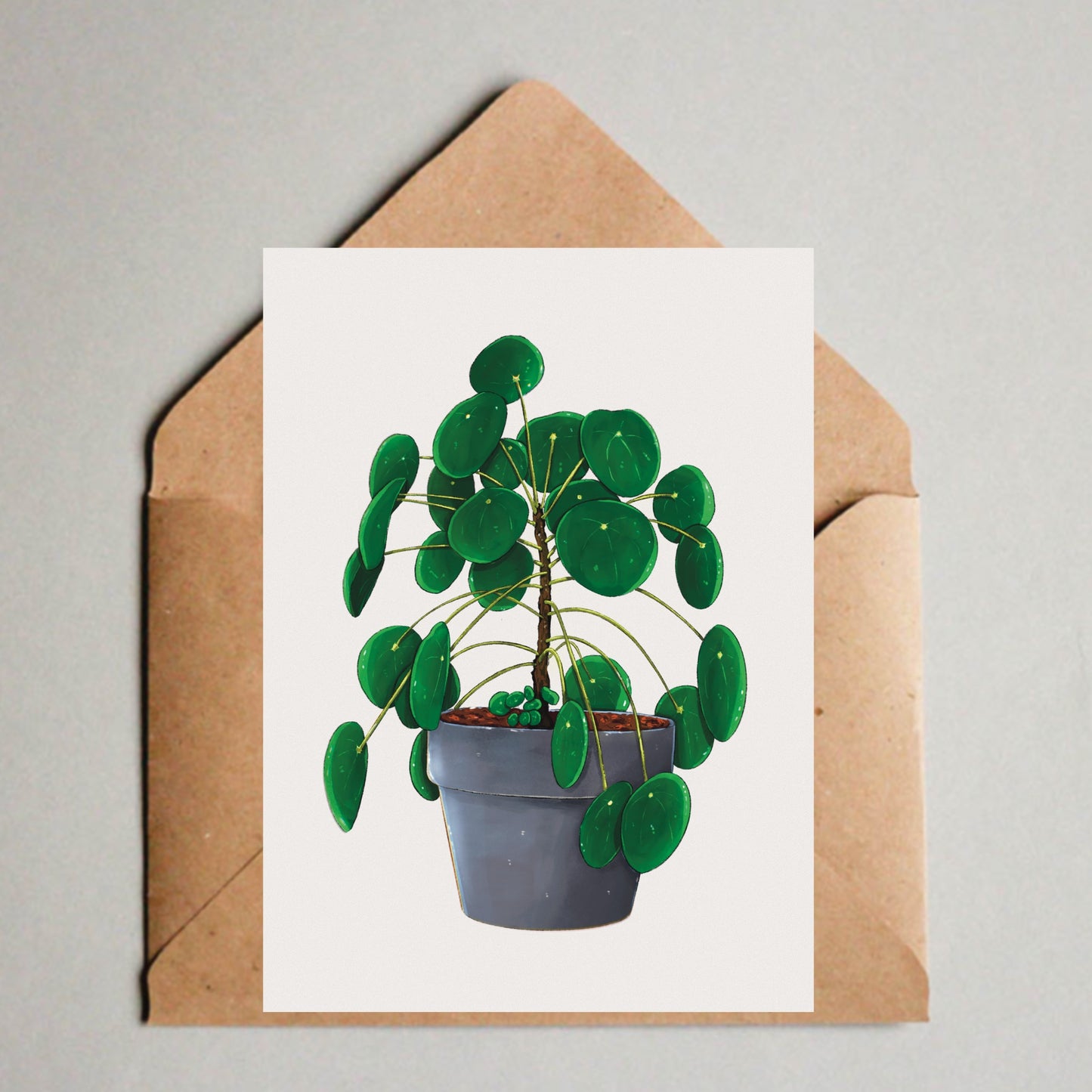 Postkarte / A6 Print -  Pilea Peperomioides im Topf