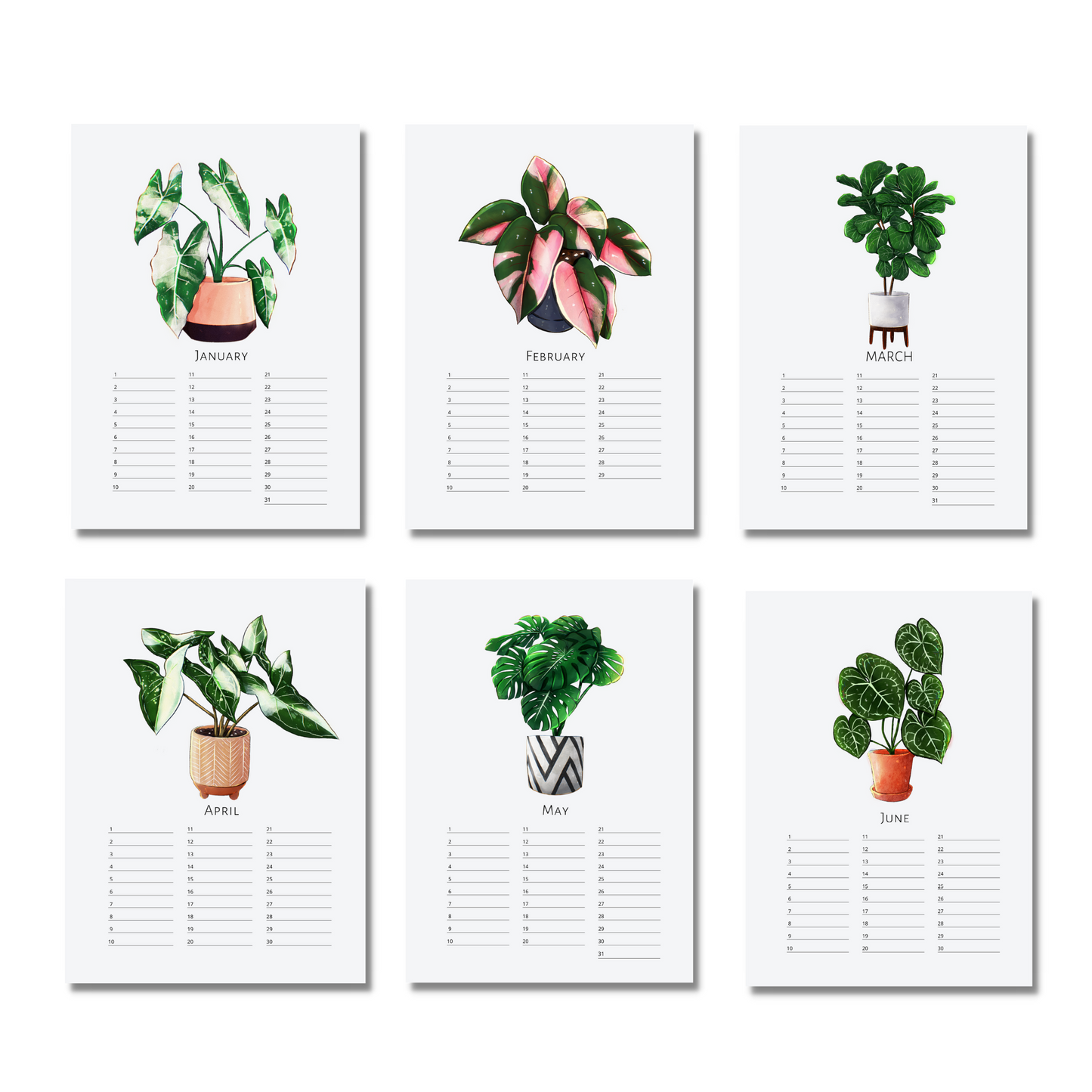 B-Ware: Immerwährender Kalender mit Grünpflanzen in A4 und A5 ohne Jahr