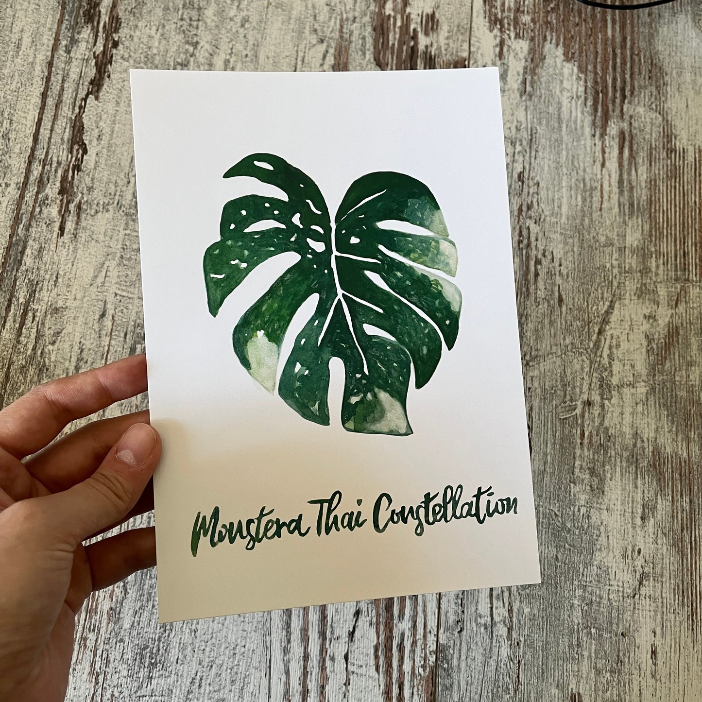 Restposten: A5 Postkarte Monstera Thai