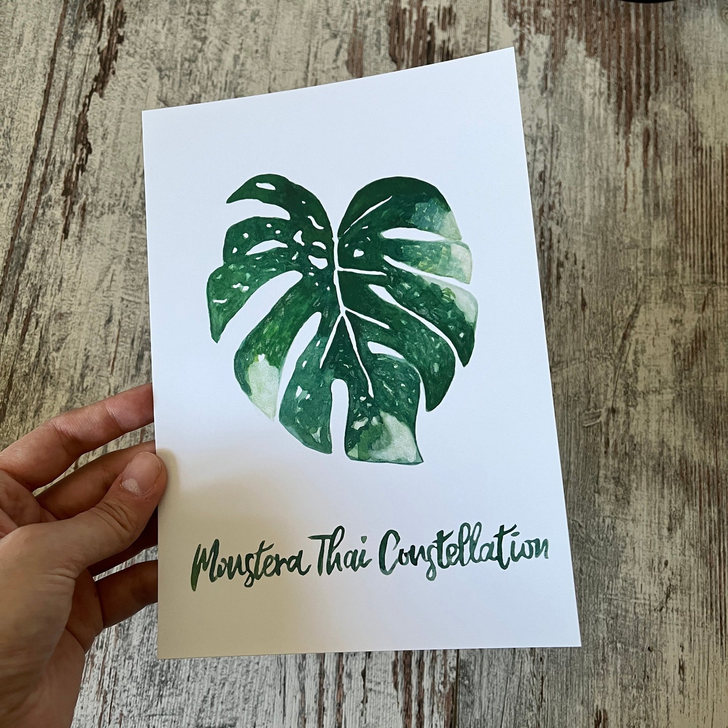 Restposten: A5 Postkarte Monstera Thai