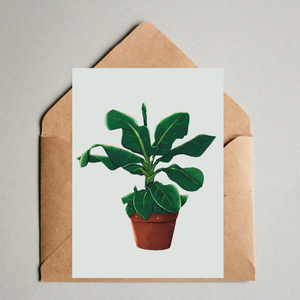 Postkarte / A6 Print -  Banana Plant llustration - Musa Tropicana