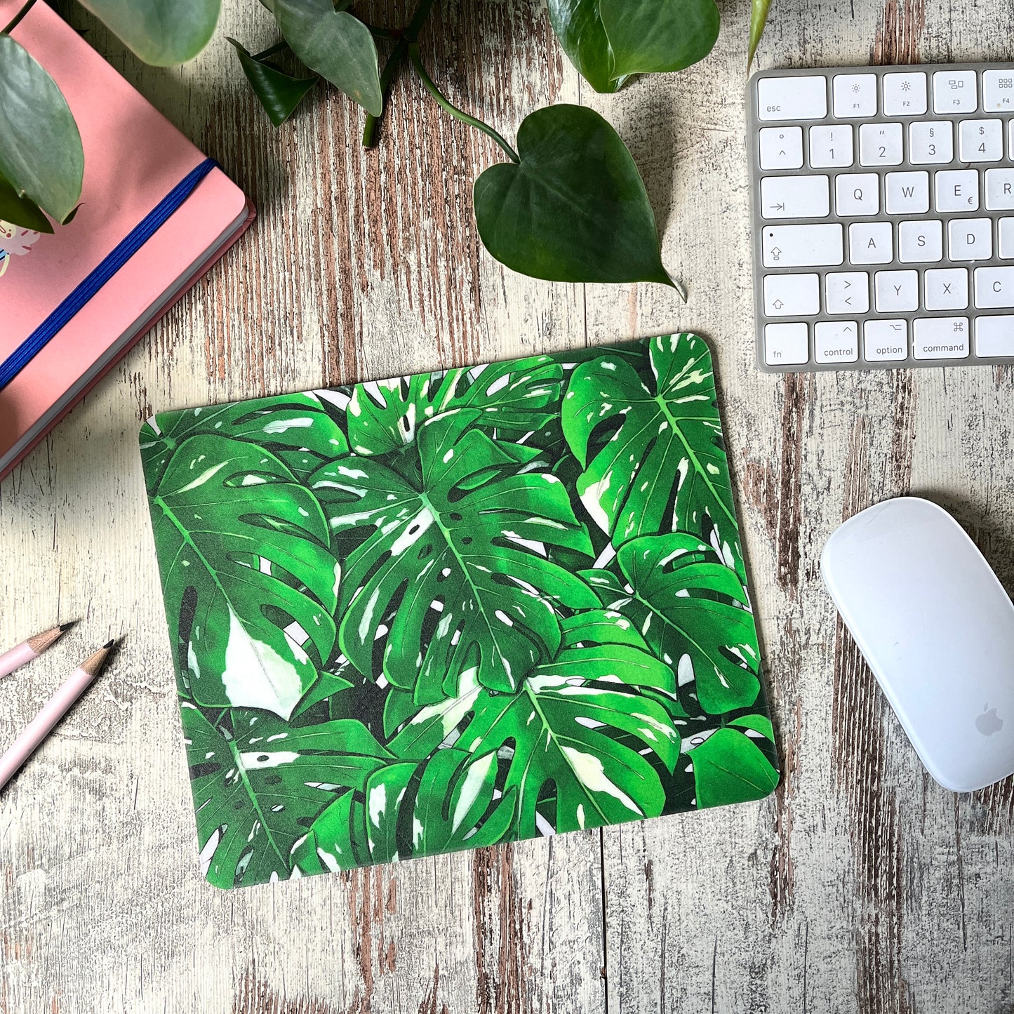 Mousepad - Monstera variegata Illustration