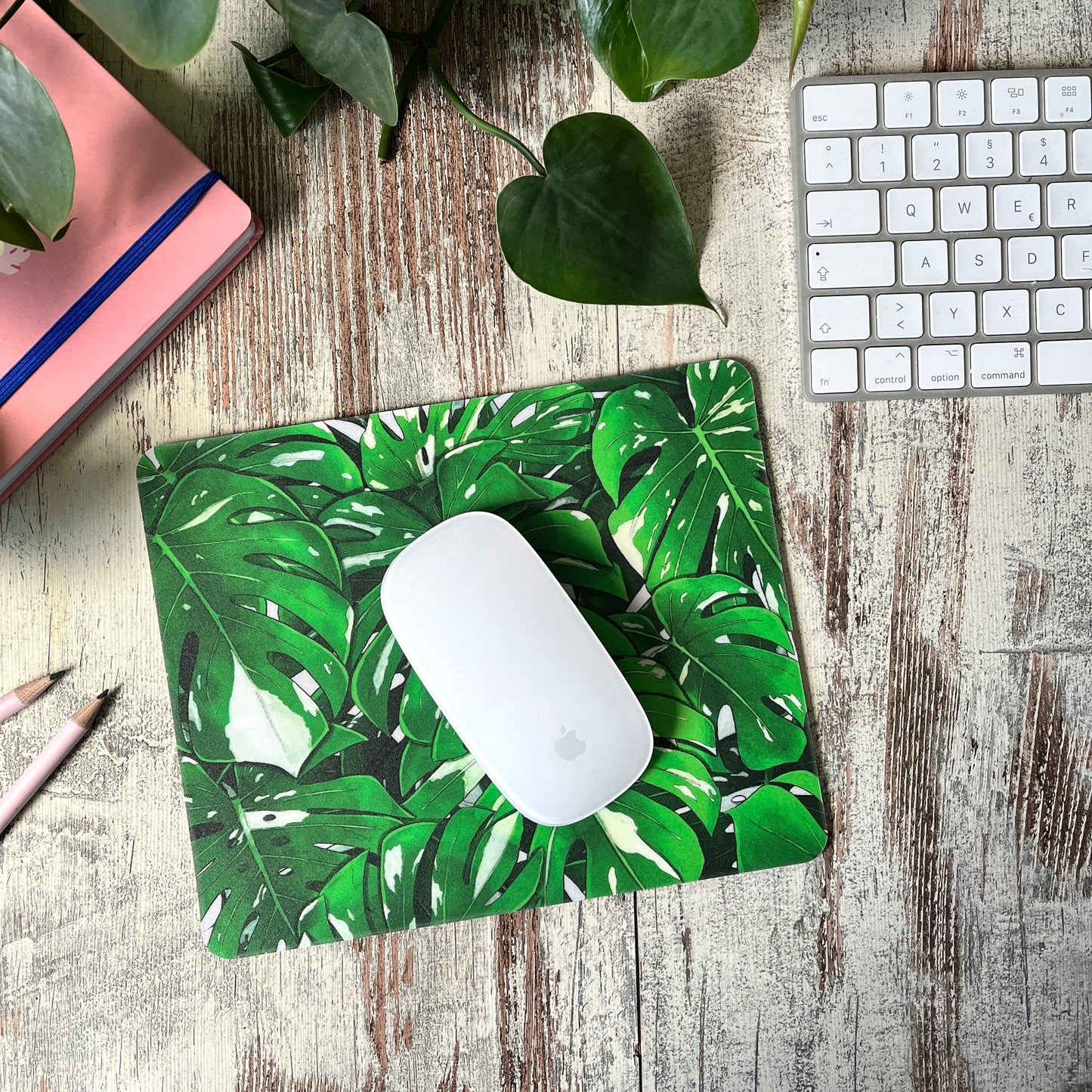 Mousepad - Monstera variegata Illustration