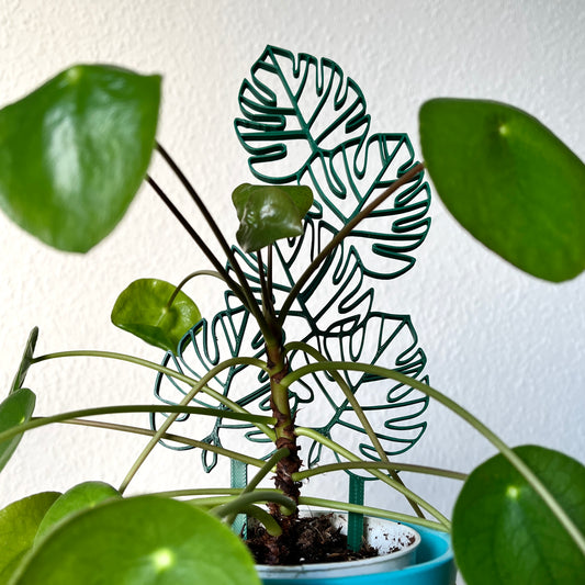 Monstera Rankhilfe – 3D-gedruckt aus nachhaltigem PLA