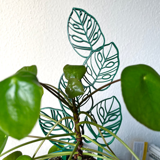 Monstera Adansonii-Rankhilfe – 3D-gedruckt aus nachhaltigem PLA