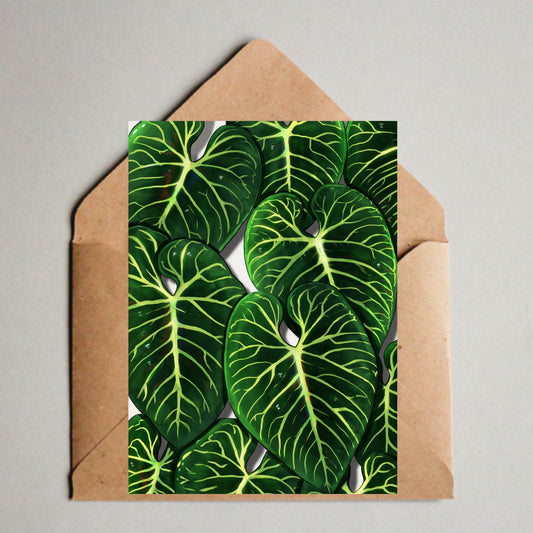 Postkarte / A6 Print -  Anthurium Regale