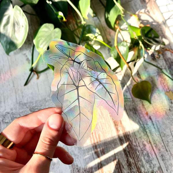 Sun Catcher Sticker - Alocasia Frydek Blätter