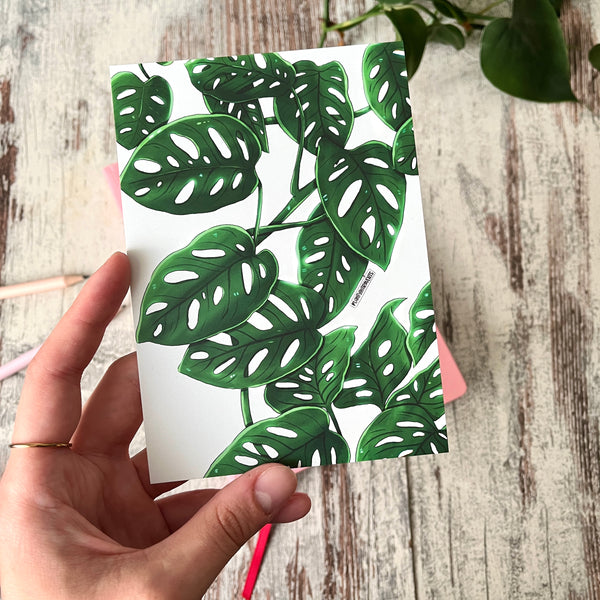 Postkarte / A6 Print -  Monstera adansonii