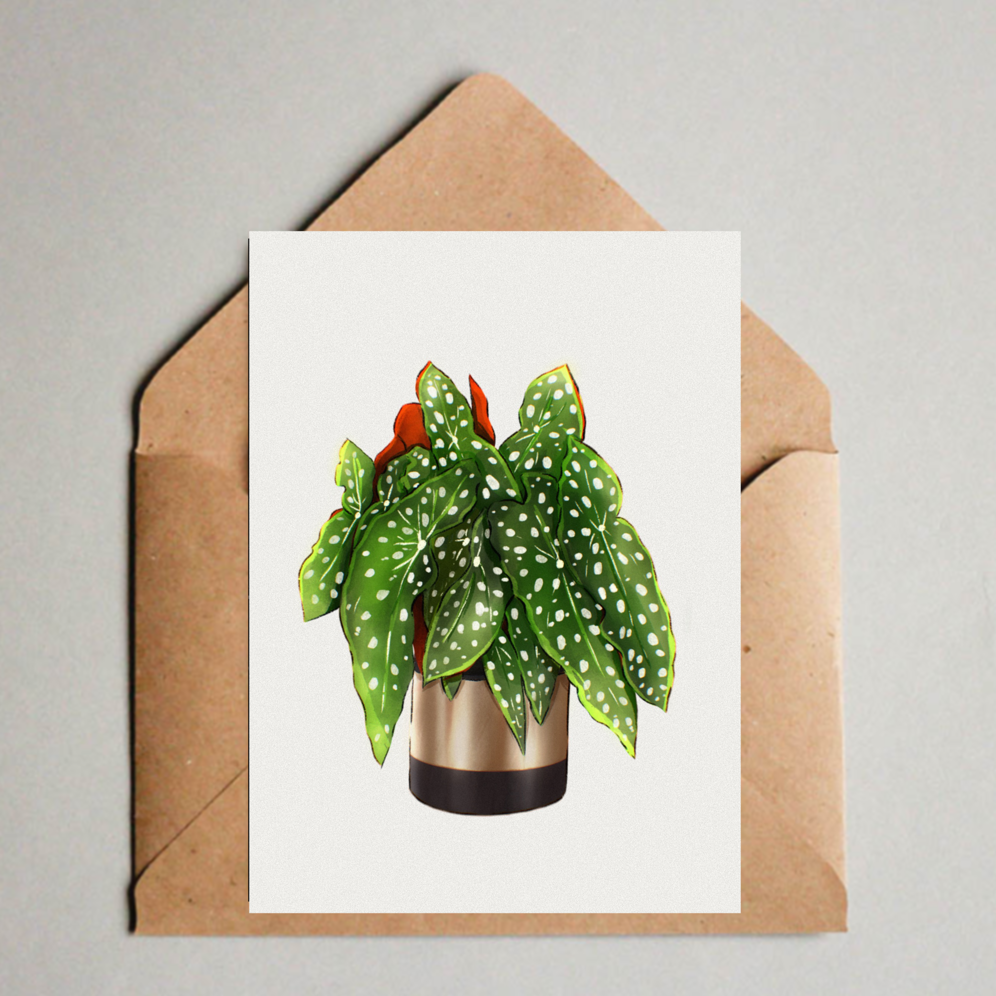 Postkarte / A6 Print -  Begonia maculata - wearequiethumans