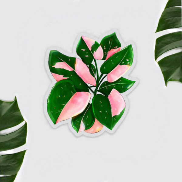 Sticker - Philodendron Pink Princess Topf transparent - wearequiethumans