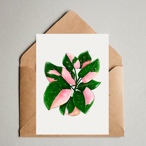 Postkarte / A6 Print -  Philodendron Pink Princess - wearequiethumans