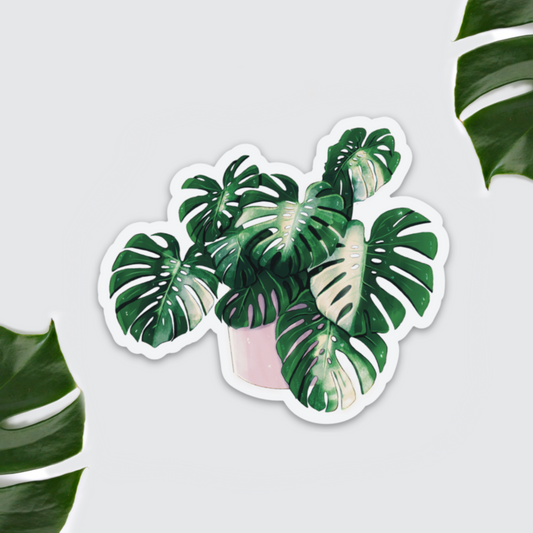 Kühlschrankmagnet - Monstera deliciosa variegata