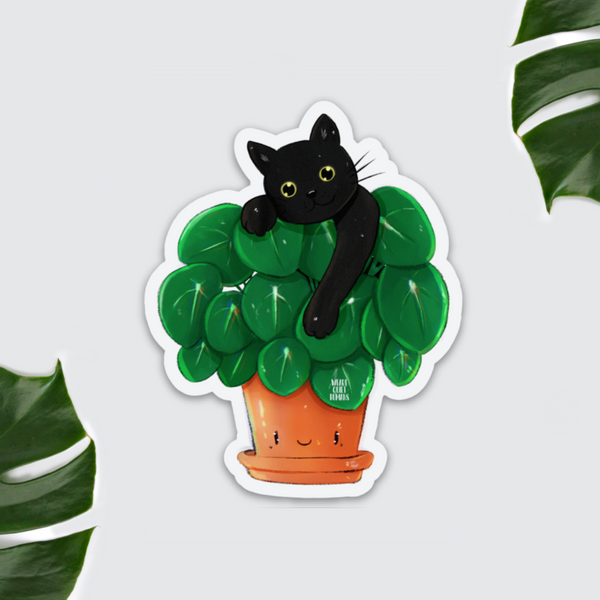Magnet Pilea mit Katze - wearequiethumans