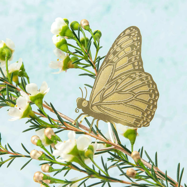 PLANT ANIMAL – Schmetterling | Another Studio
