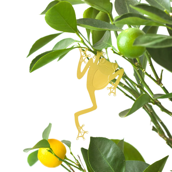 PLANT ANIMAL – Frosch | Another Studio