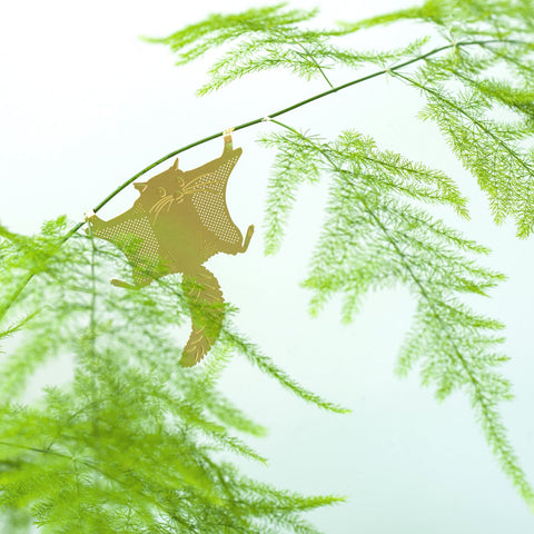 PLANT ANIMAL – Gleithörnchen | Another Studio - wearequiethumans