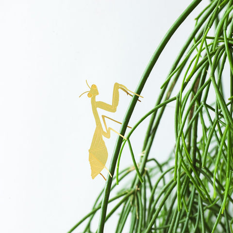 PLANT ANIMAL – Gottesanbeterin | Another Studio - wearequiethumans