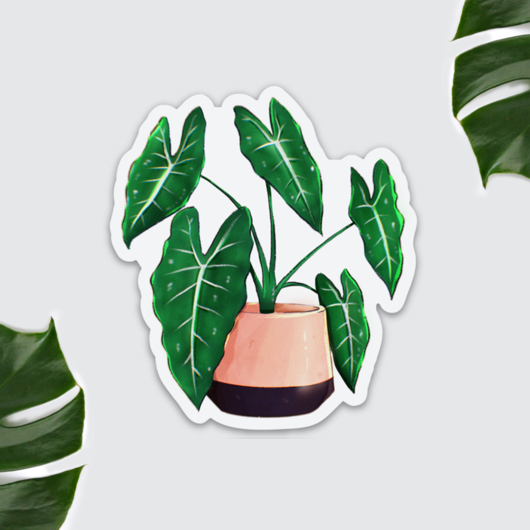 Magnet - Alocasia Frydek - wearequiethumans