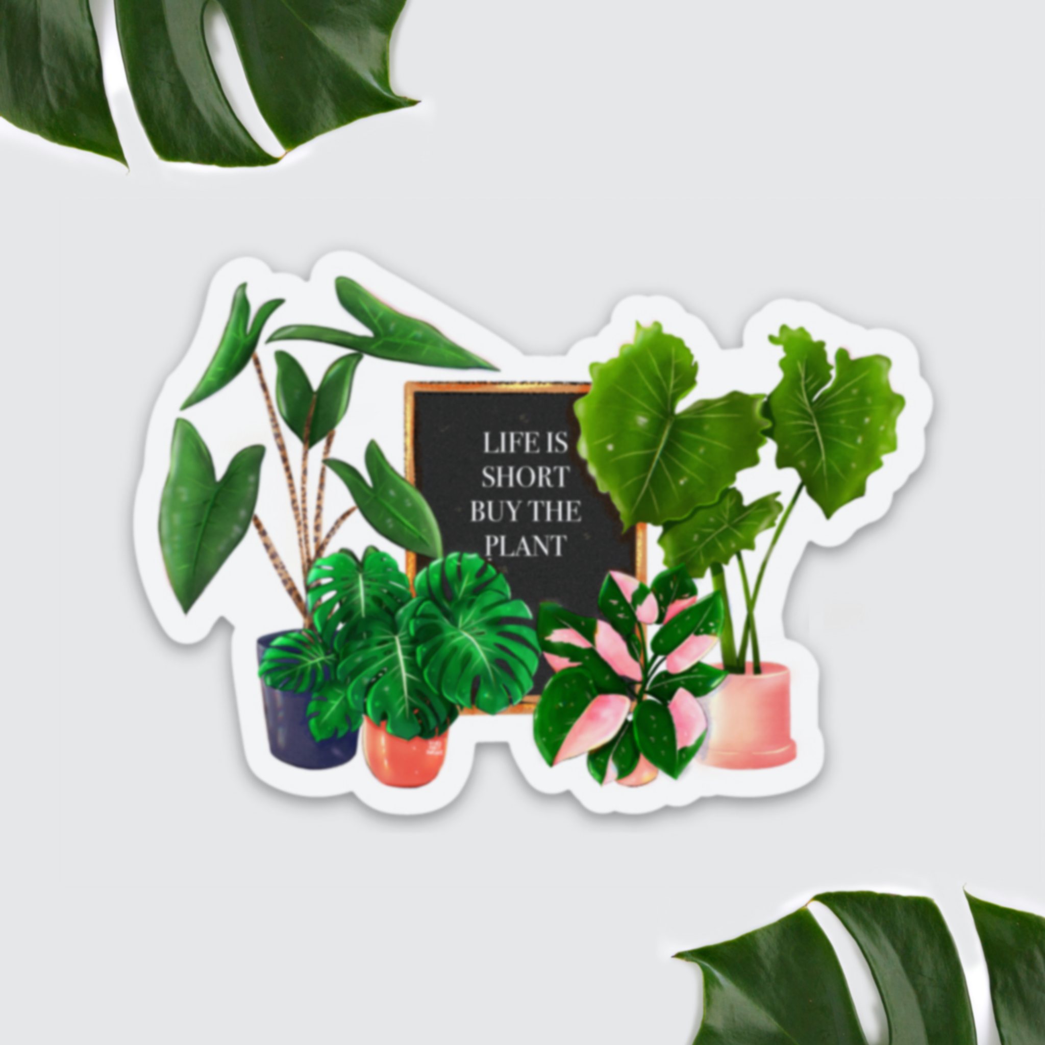 Magnet - Life is short buy the plant - wearequiethumans